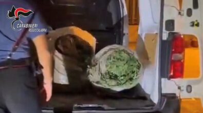 Platì, trovato in possesso di 72 kg di marijuana: disposti gli arresti domiciliari – VIDEO