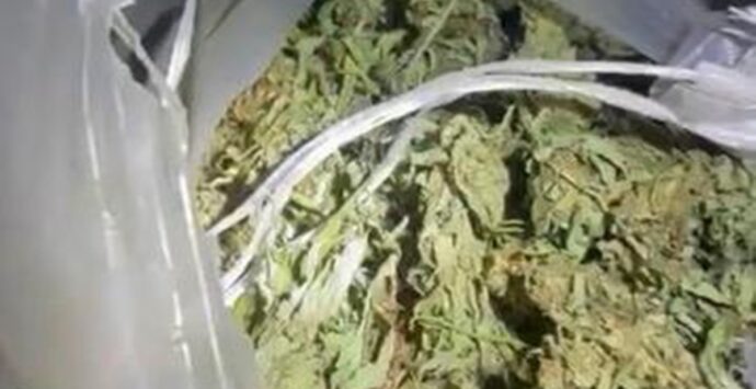 Cardeto, sequestrati 15 kg di marijuana trovati all’interno di un casolare