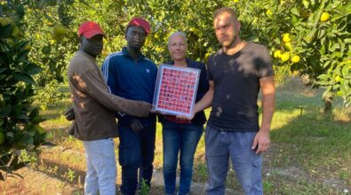 Caulonia, l’imprenditrice premiata per aver salvato antiche varietà di agrumi: «Come vincere un Oscar»
