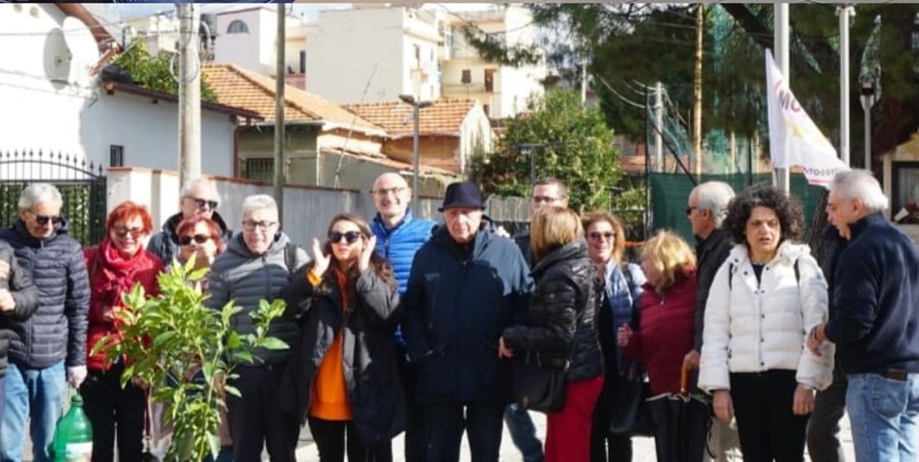 Reggio, il Movimento 5 stelle pianta due alberi di bergamotto nella piazza di Borgata Giardini