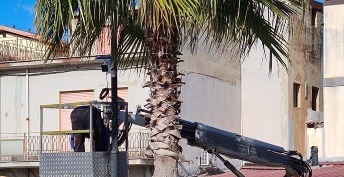 San Ferdinando, atti vandalici in città: il sindaco installa altre telecamere di videosorveglianza
