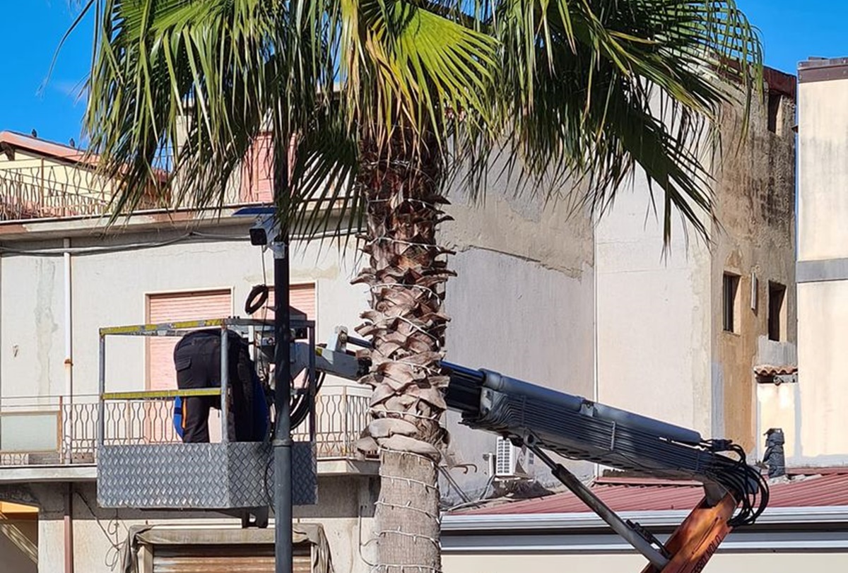 San Ferdinando, atti vandalici in città: il sindaco installa altre telecamere di videosorveglianza