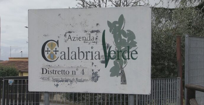 Regione, dopo 15 anni arrivano le stabilizzazioni per i precari stagionali di “Calabria verde”