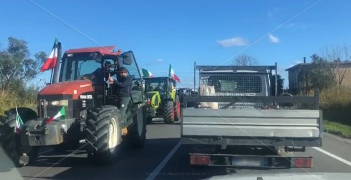 Esplode la protesta degli agricoltori in Calabria, trattori in corteo: «Corruzione ovunque» – VIDEO