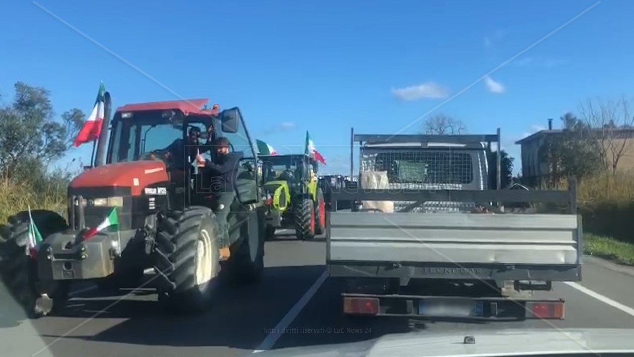 Esplode la protesta degli agricoltori in Calabria, trattori in corteo: «Corruzione ovunque» – VIDEO