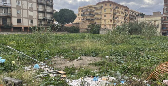 Reggio, il miraggio degli orti urbani: invece del cantiere, di nuovo canne e vegetazione incolta  – FOTO