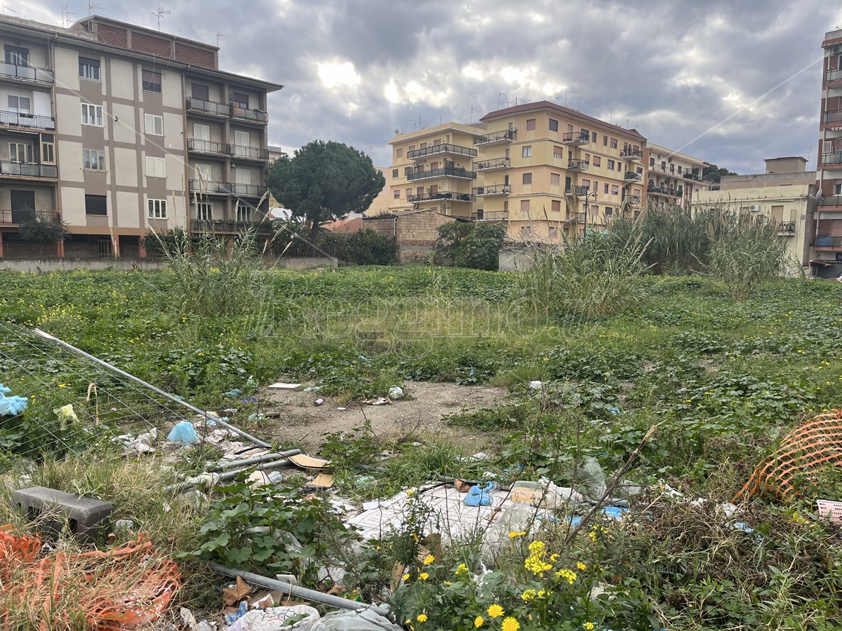 Reggio, il miraggio degli orti urbani: invece del cantiere, di nuovo canne e vegetazione incolta  – FOTO