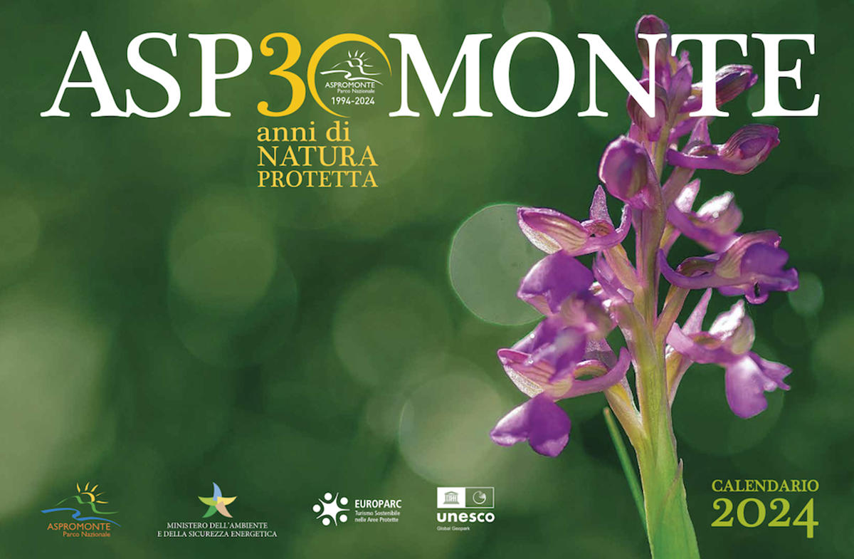 Parco dell’Aspromonte, un calendario per festeggiare i 30 anni di attività