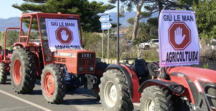 La protesta degli agricoltori arriva nella Locride: «Non riusciamo più a sostenere le spese»