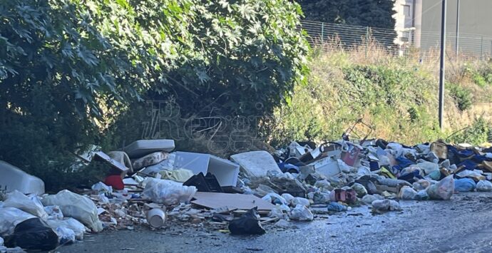 Reggio, carcasse di auto e rifiuti combusti flagellano ancora Arghillà nord – FOTO