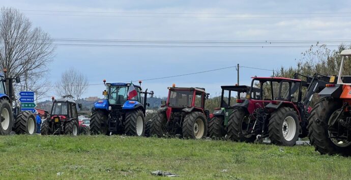 La protesta degli agricoltori continua, trattori rallentano il traffico sulla Piana