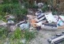 Ancadic denuncia: «Situazione critica del Torrente Fiumarella di Pellaro avvolta tra spazzatura e vegetazione»