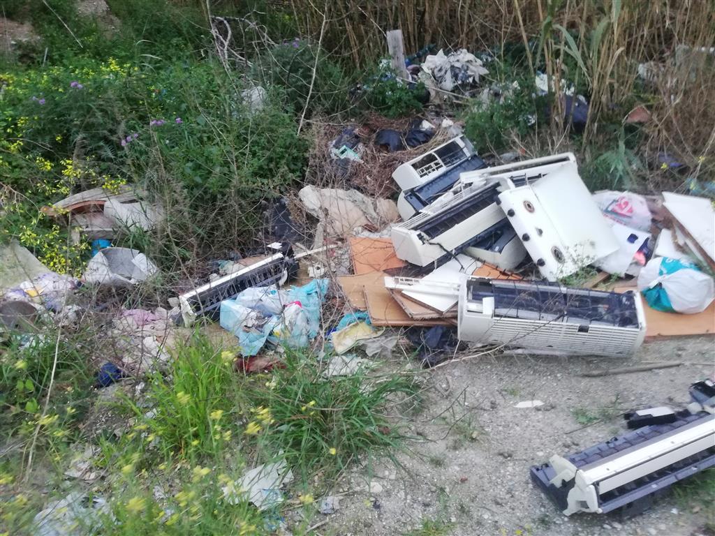 Ancadic denuncia: «Situazione critica del Torrente Fiumarella di Pellaro avvolta tra spazzatura e vegetazione»