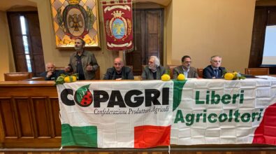 Bergamotto, i produttori a sostegno dell’Igp non mollano: ieri assemblea a Locri