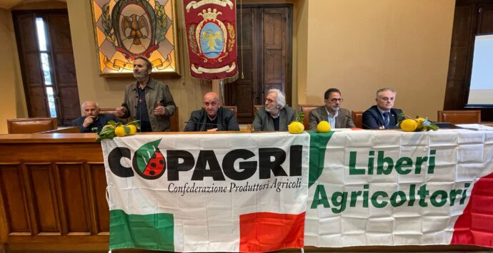 Bergamotto, i produttori a sostegno dell’Igp non mollano: ieri assemblea a Locri