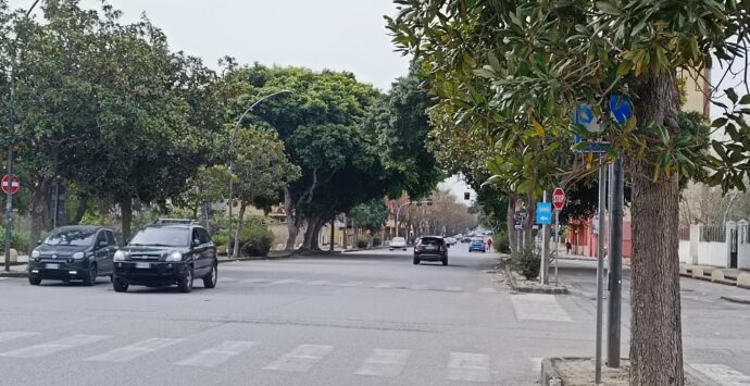 Reggio, alberi pericolanti su Viale Calabria: il comitato di quartiere scrive al Comune
