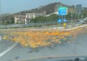Locride, centinaia di arance sull’asfalto della 106: traffico rallentato tra Caulonia e Roccella