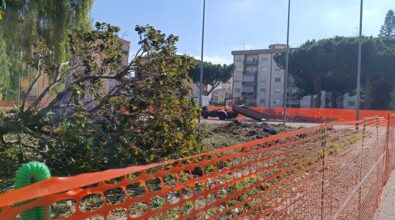 Reggio, comitato di quartiere viale Calabria-Palmi: «Devastato il patrimonio arboreo di piazza Milano»